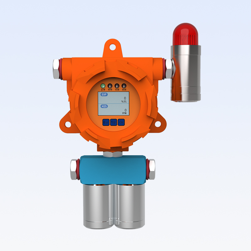 固定式二合一气体探测器